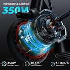 Trottinette Iscooter I9 350W 7.5Ah